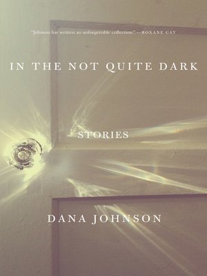 cover image of In the Not Quite Dark